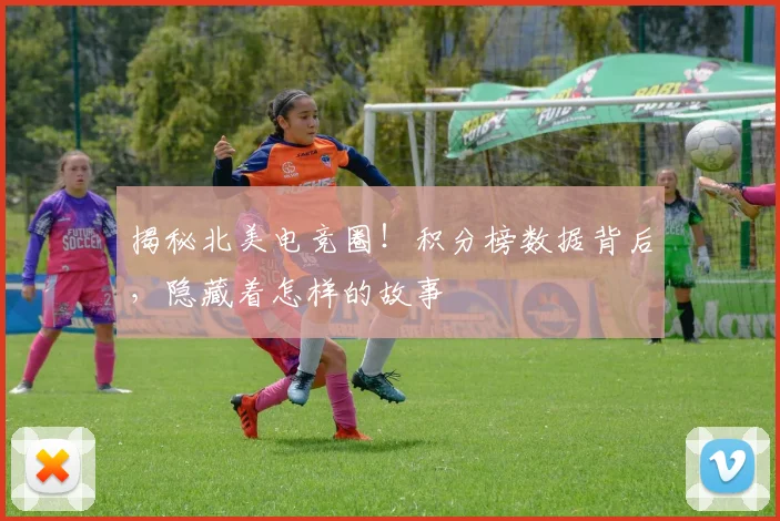 揭秘北美电竞圈!积分榜数据背后,隐藏着怎样的故事